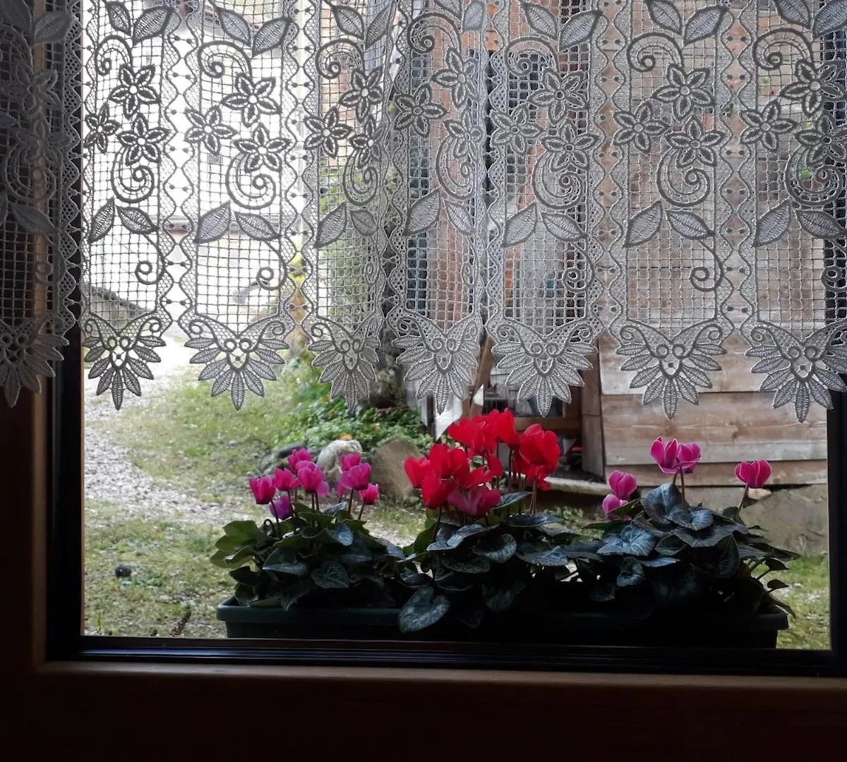 Casa Roberta Διαμέρισμα Falcade